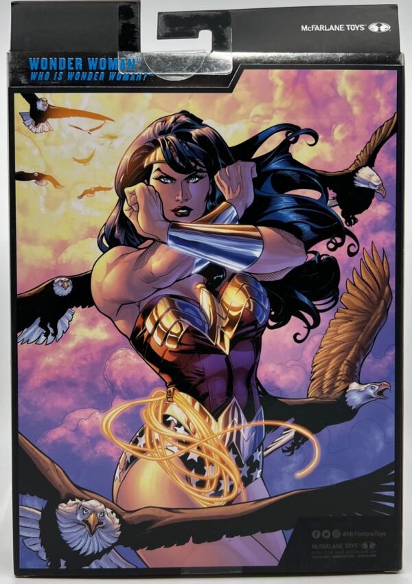 IMG_5055 MCFARLANE COLLECTOR EDITION DC MULTIVERSE WONDER WOMAN ACTION FIGURE