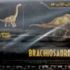 IMG_5162 MATTEL HAMMOND COLLECTION BRACHIOUSAURUS ACTION FIGURE RARE HARD TO FIND