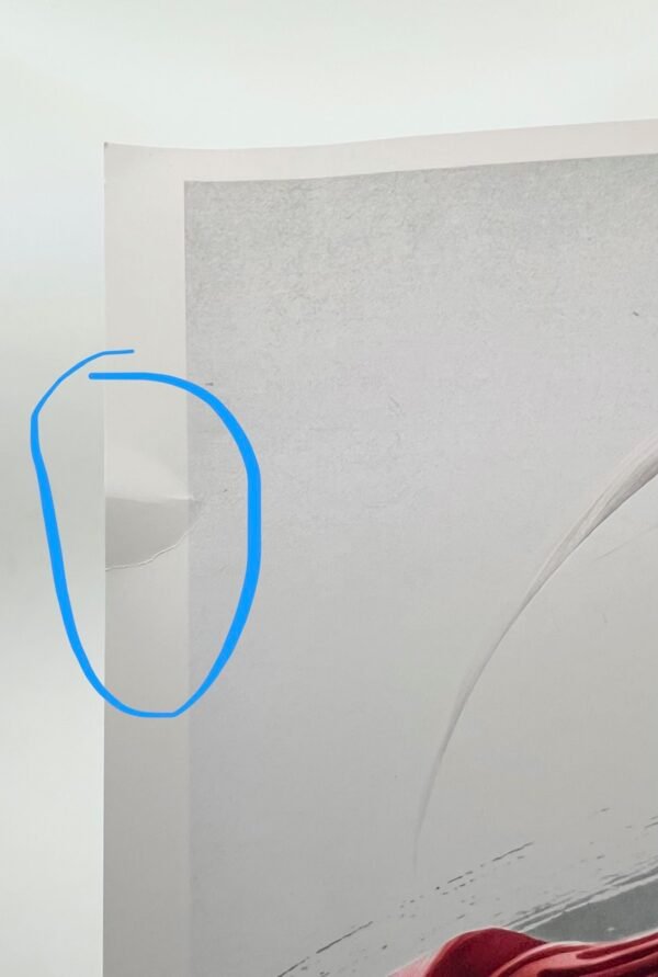 CAMMY STREET FIGHTER CAPCOM ART PRINT ARTGERM SIGNED WITHOUT COA