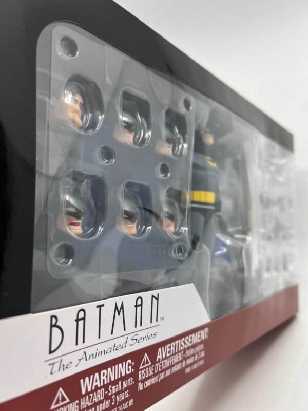 DC Direct Batman The Animated Series Action Figure - New Sealed Collector Grade In stock
