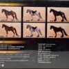 Fish Toys Basic Horse 1/12 scale US seller 2 versions in stock black and brown