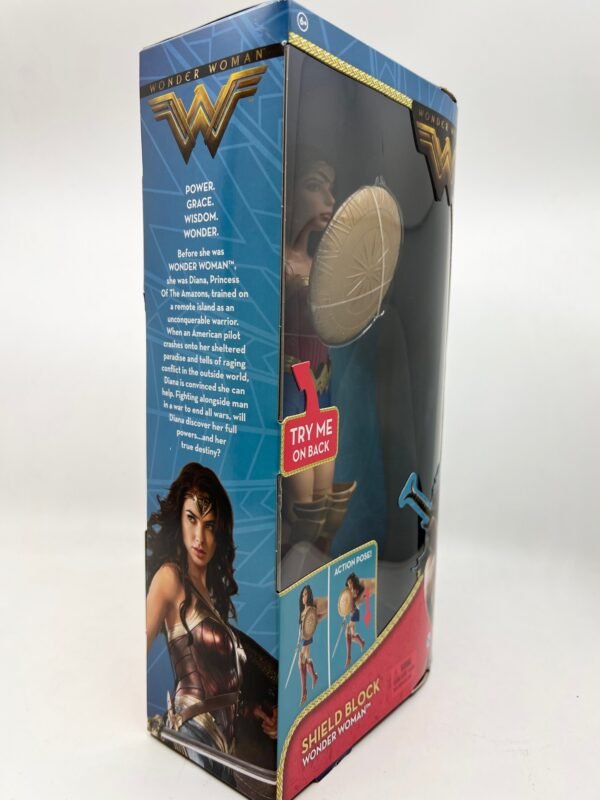 Mattel Wonder Woman Movie Doll & Batman 66 Barbie collector pink label set of 2 US seller in stock