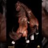 Fish Toys Basic Horse 1/12 scale US seller 2 versions in stock black and brown