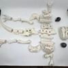 Bone Age T-Rex Kenner 1988 Action Figure open box complete