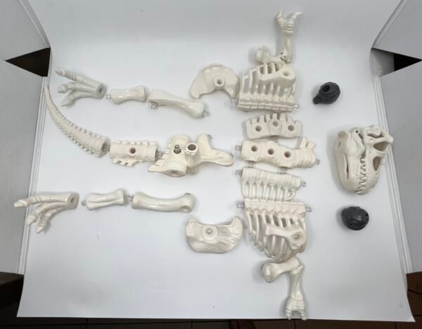 Bone Age T-Rex Kenner 1988 Action Figure open box complete