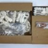 Bone Age T-Rex Kenner 1988 Action Figure open box complete