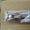 Bone Age T-Rex Kenner 1988 Action Figure open box complete