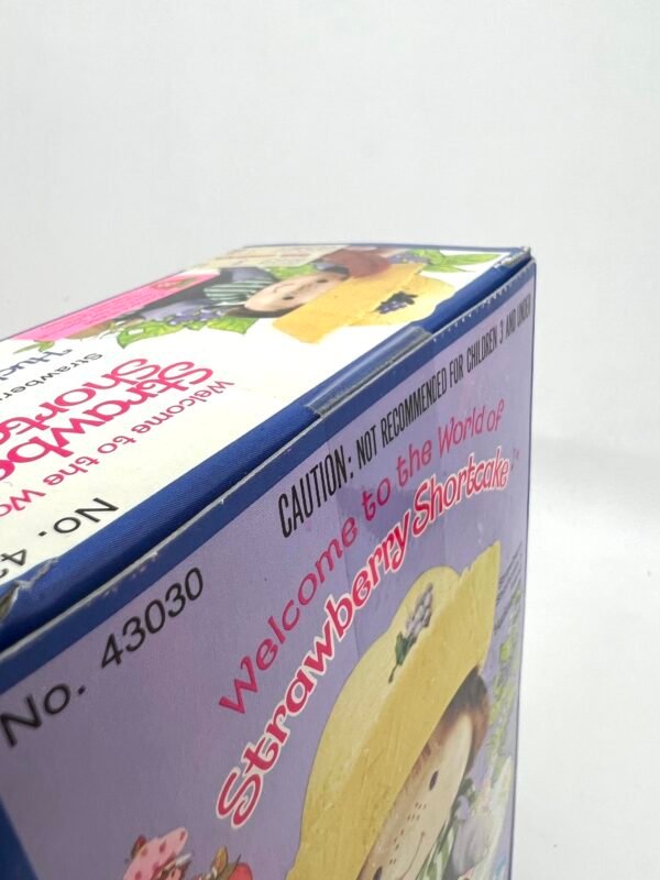 Vintage 1979 Kenner Strawberry Shortcake & Huckleberry Pie Doll Set MIB Sealed